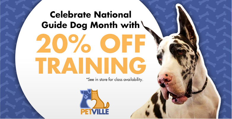 Petville Petville